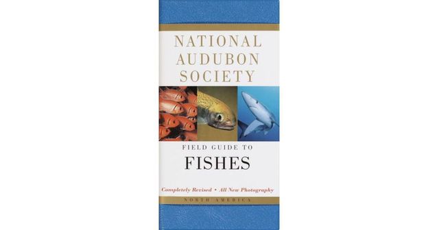 National Audubon Society Field Guide to Fishes: North America by National Audubon Society