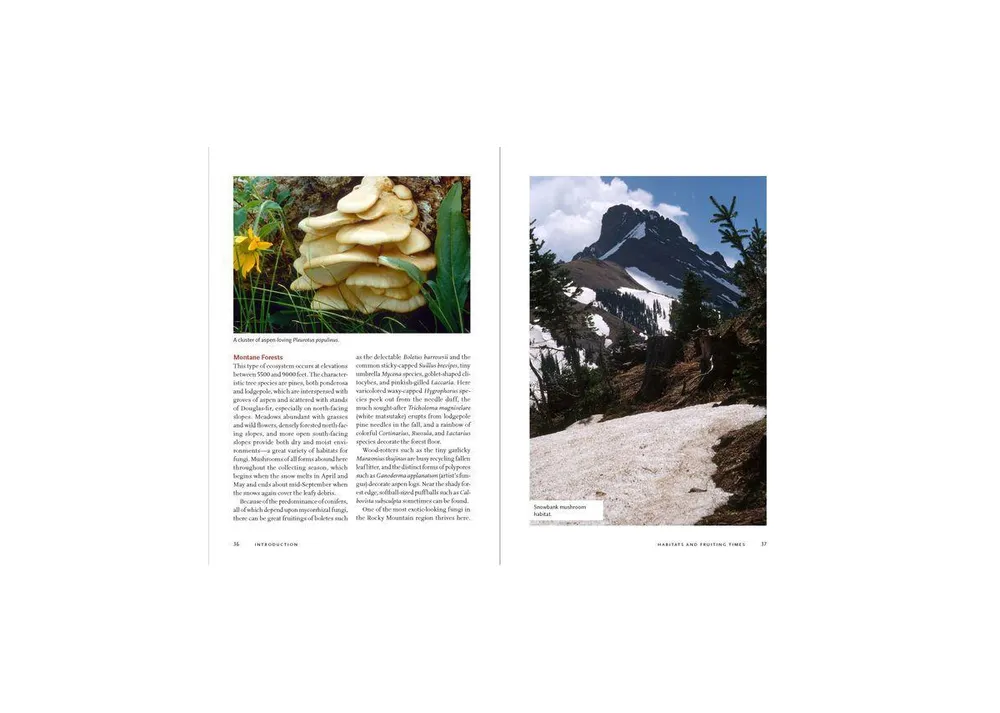 Mushrooms of the Rocky Mountain Region by Vera Stucky Evenson