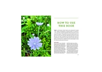 Northeast Medicinal Plants: Identify, Harvest, and Use 111 Wild Herbs for Health and Wellness by Liz Neves