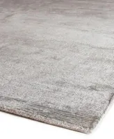 Exquisite Rugs Crush Er3300 Area Rug