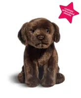 Geoffrey's Toy Box 10" Labrador Puppy Dog Toy, Created for Macy's