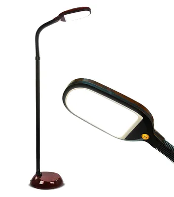 Litespan Led Gooseneck Floor Lamp with Adjustable Head