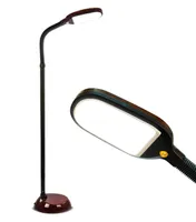 Brightech Litespan Led Gooseneck Floor Lamp with Adjustable Head