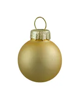 Northlight 24 Count 2 Finish Mini Glass Christmas Ball Ornaments 25mm Set, 1"