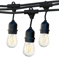Brightech Ambience Pro 24 ft. Indoor/Outdoor Led Weatherproof 2-Watt String Lights with Warm White Hue