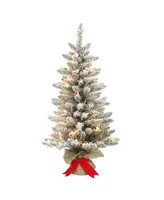 Puleo 3FT Pre-Lit Flocked Franklin Fir Artificial Christmas Tree