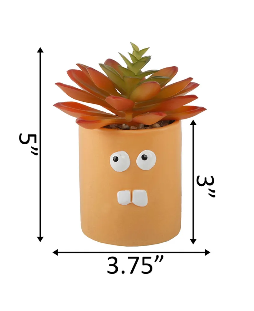 Flora Bunda Faux Succulent in Ceramic Pot Crazy Eyes, 3.55"