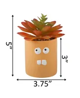 Flora Bunda Faux Succulent in Ceramic Pot Crazy Eyes, 3.55"