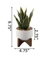 Flora Bunda Snake Plant in Constellation Ceramic Pot on Stand, 9.7"