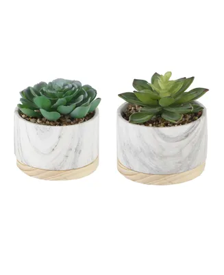 Flora Bunda Succulent in Base Set, 2 Piece