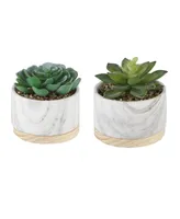 Flora Bunda Succulent in Base Set, 2 Piece