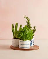 Lenox Blue Bay Set/3 Round Snack Bowls with Wood Tray