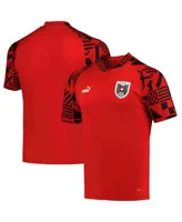 Men's Puma Red Austria National Team Pre-Match Raglan DryCELL V-Neck Top