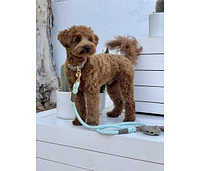 PoisePup Pet Dog Collar - Desert Mint