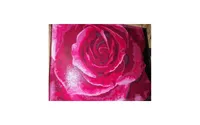 Painting by Numbers Kit Crafting Spark Tender Rose B114 19.69 x 15.75 in