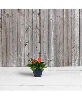 Novelty Black ArtStone Ella Square Planter 12 Inch