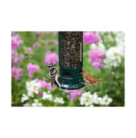 Squirrel Buster Legacy Squirrel-proof Bird Feeder 2.6lb Seed Capacity