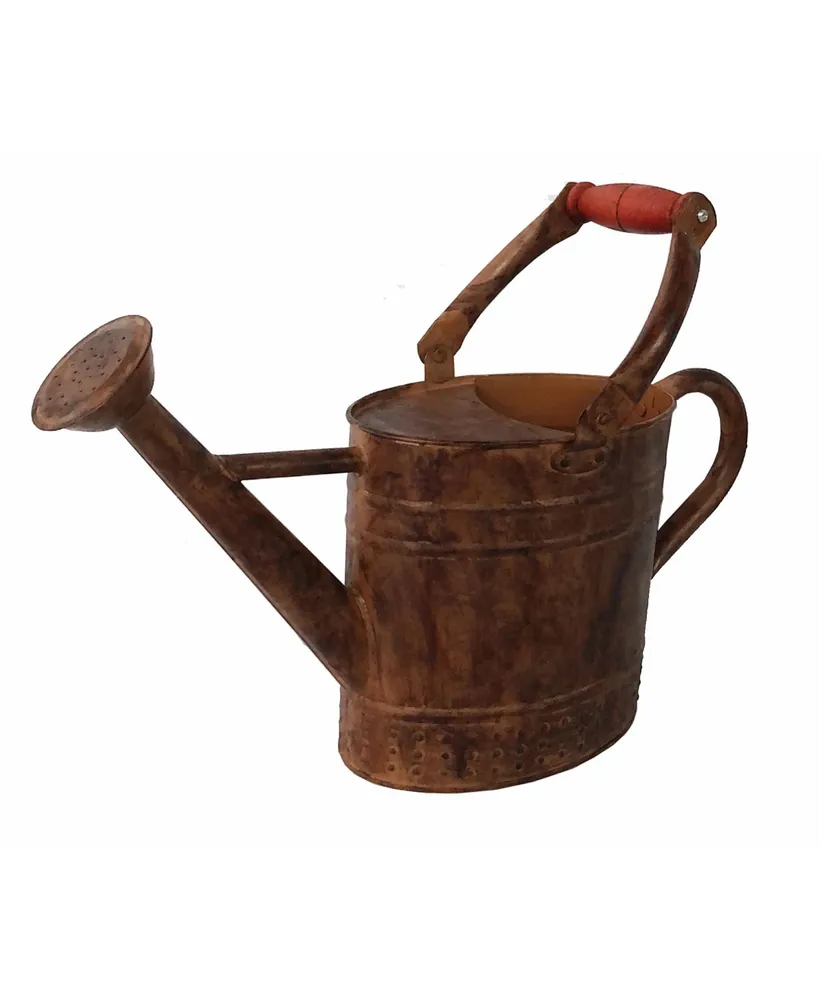 Gardener's Select Gardener Select Metal Oval Watering Can, Rusty Wooden Handle, 0.92 Gal