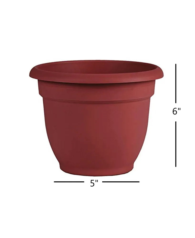 Bloem AP0613 Ariana Planter with Self-Watering Disk, Burnt Red - 6 inches