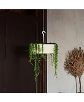 Tree Nest Sunny Round Hanging Planter 12 Inch White