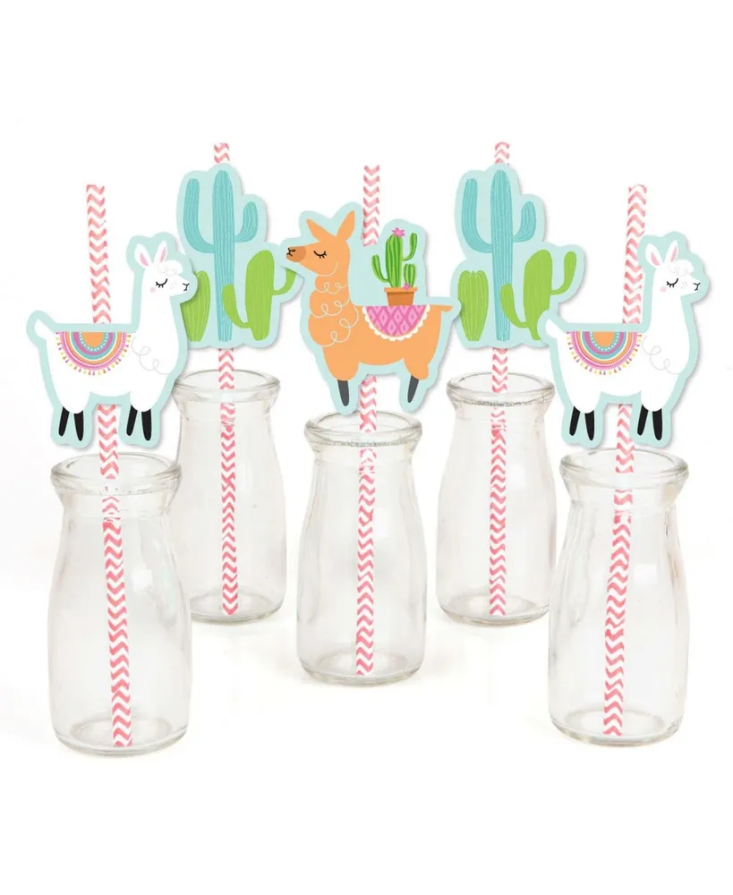 Big Dot Of Happiness Prickly Cactus Party - Paper Straw Decor