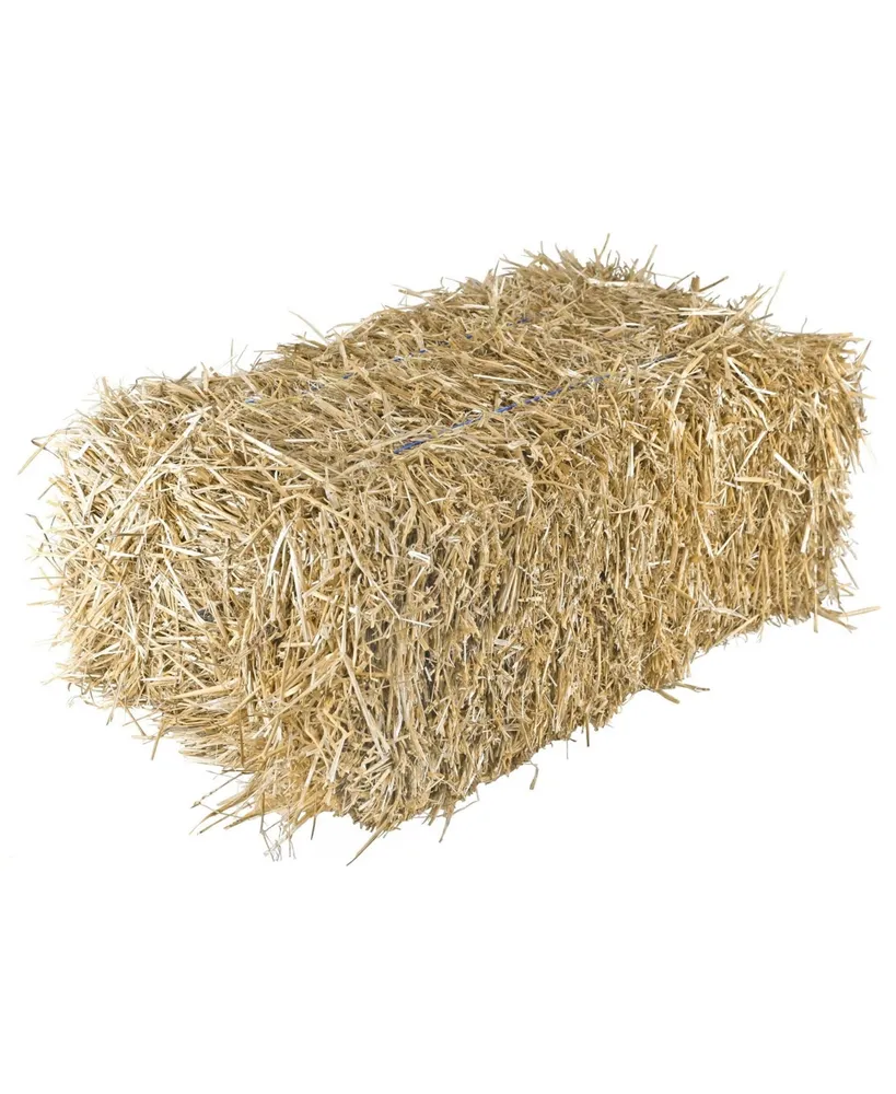 Garden Elements Straw Bale by Shady Creek Farm, Multi-Use, 22"