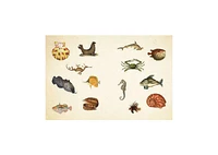 Cabinet of Curiosities: Over 1,000 Curated Stickers from the Fascinating Collections of the Smithsonian by Smithsonian Institution