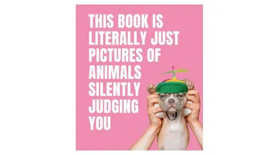 This Book is Literally Just Pictures of Animals Silently Judging You by Smith Street Books