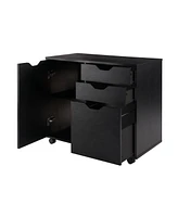 Winsome Halifax 26.3" Wood 2-Drawer Wide Filing Storage Cabinet