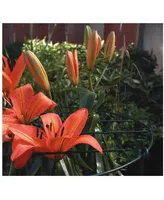 Luster Leaf Inc Luster Leaf Grow Through Grid, 24 x 16