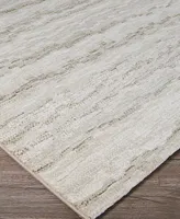 Couristan Easton Shimmering 7'10" x 11'2" Area Rug
