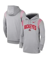 Men's Nike Gray Ohio State Buckeyes 2022 Game Day Sideline Performance Pullover Hoodie