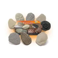 Yellow Door Let's Investigate Fossil Stone, Pack of 8