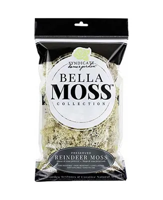 Bella Moss Preserved Reindeer Moss, Natural, 80 cu in.