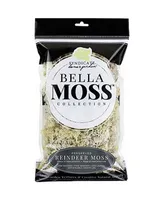 Bella Moss Preserved Reindeer Moss, Natural, 80 cu in.