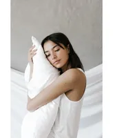 Cozy Earth Silk Pillow, Standard