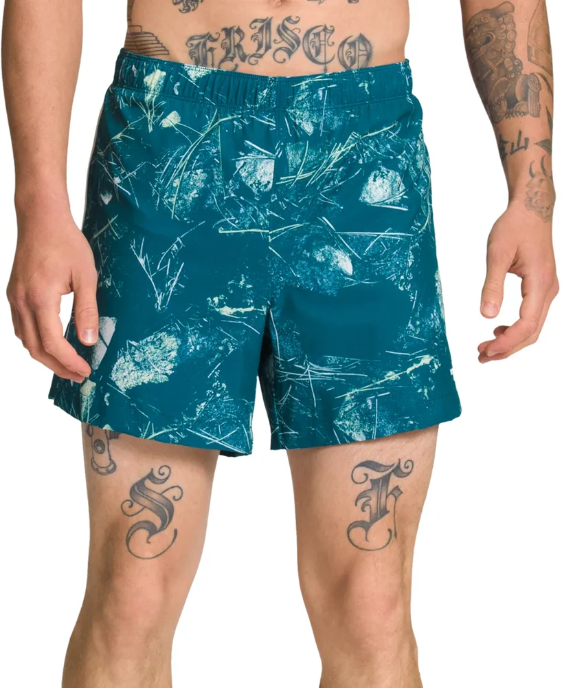 north face standard fit shorts