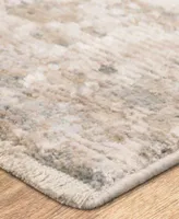 Karastan Solitude Velleta Area Rug