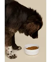 Waggo Dog Cling Silicon Bottom Bowl - White