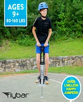 Flybar Master Pogo Stick 2.0