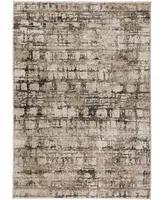 Dalyn Denizi DZ3 5'3" x 7'8" Area Rug