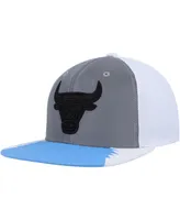 Men's Mitchell & Ness Silver, Blue Chicago Bulls Day 5 Snapback Hat