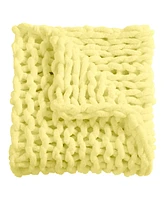 Donna Sharp Chenille Knitted Throw, 40" x 50"