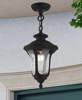 Livex Oxford Light Outdoor Pendant Lantern