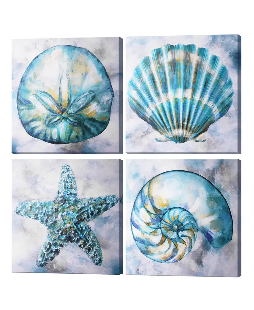  Coastal Wall Decor Beach Seashell Wall Art for