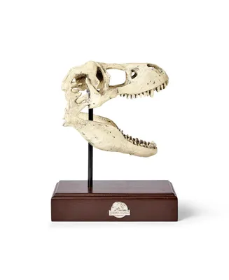 Surreal Entertainment Jurassic World Tyrannosaurus Rex Skull Resin Replica - 9x8-Inch TRex Dinosaur Head Statue