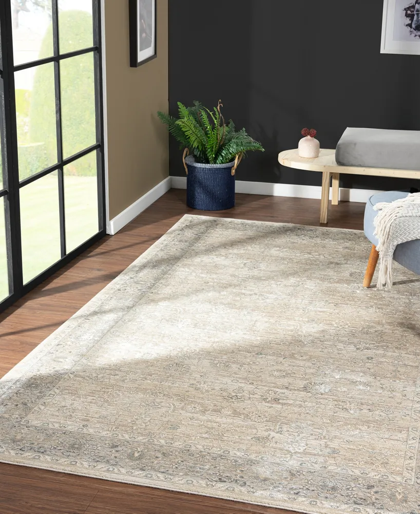 Lr Home Alice CHESH82129 7'9" x 9'9" Area Rug