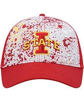 Men's Colosseum Gray, Cardinal Iowa State Cyclones Love Fern Trucker Snapback Hat