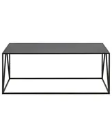 Hudson & Canal Pia 45" Wide Metal Rectangular Coffee Table