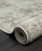 Lr Home Bienne BIENA82285 4' x 6' Area Rug